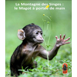 Ticket entrée La montagne des Singes à 10,00€