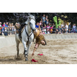 24,50€ ticket La mer de sable moins cher