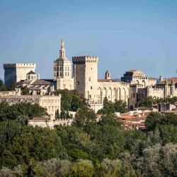 -10% ticket visite Palais des Papes